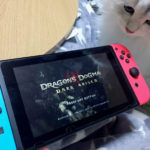 【ドラゴンズドグマプレイ日記1】両手の中の『ドラゴンズドグマ』