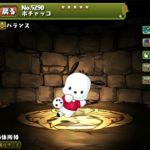 【パズドラ部】第744回：フラれた男、5月のクエスト　チャレンジLv10クリアーする