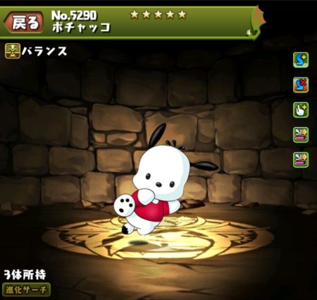 【パズドラ部】第743回:サンリオのポチャッコさん、一部の女子を虜にする