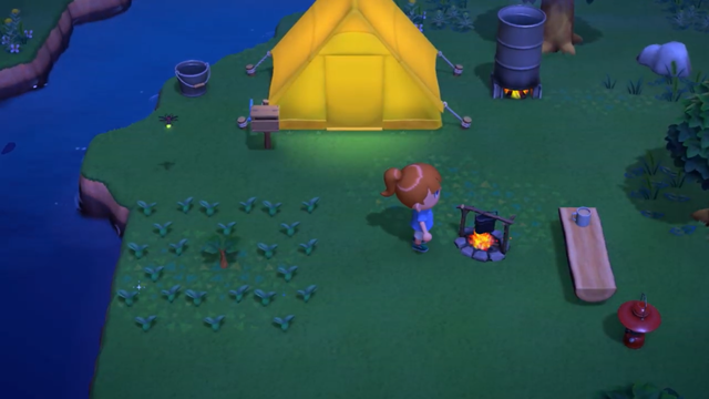 夜はこんな感じ