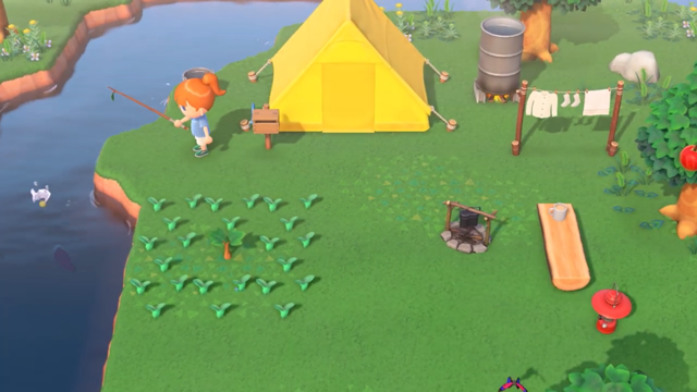 テントの前の風景