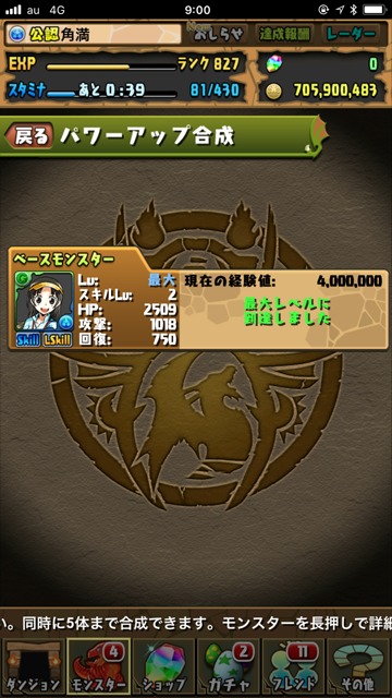 レベル最大