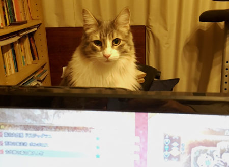 【逆鱗日和W】第5回:『モンハンワールド』は、るーさんといっしょに