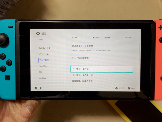 セーブデータバックアップ