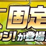 【パズドラ】リーダー助っ人固定チャレンジで潜在たまドラをゲット!
