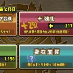 【パズドラ部】第1005回：＋ポイントが、底をついたときは……！