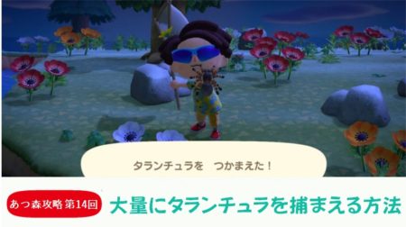 【あつまれどうぶつの森 攻略プレイ日記 第14回】タランチュラを大量入手するには?