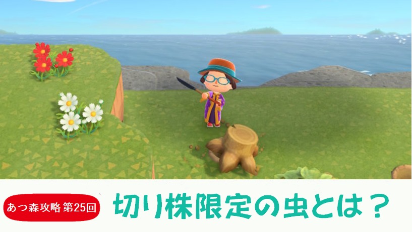 【あつまれどうぶつの森 攻略プレイ日記　第25回】“切り株限定の虫”とは？