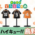 【あつ森  マイデザイン31】『ハイキュー!!』鳥野高校風【あつまれどうぶつの森】