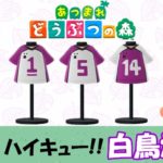 【あつ森 マイデザイン57】『ハイキュー!!』白鳥沢高校風【あつまれどうぶつの森】